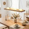 Zanin lampa wisząca, lampa wisząca kolory naturalne, czarny, 4-punktowe