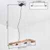 Zanin lampa wisząca, lampa wisząca kolory naturalne, czarny, 4-punktowe