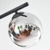 Koyoto lampa sufitowa, kula świetlna chrom, przezroczysty, przydymiony, 4-punktowe