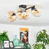 Koyoto lampa sufitowa, kula świetlna bursztynowy, przezroczysty, 4-punktowe