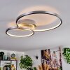 Fenar Lampa sufitowa LED Aluminium, Chrom, 1-punktowy