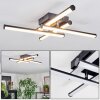 Fenol Lampa sufitowa LED Chrom, Czarny, 1-punktowy