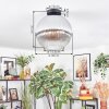 Koyoto lampa sufitowa, kula świetlna 30 cm przezroczysty, przydymiony, 1-punktowy