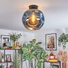 Ripoll lampa sufitowa, kula świetlna niebeieski, 1-punktowy