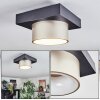 Falor lampa sufitowa LED czarny, 1-punktowy