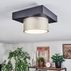 Falor lampa sufitowa LED czarny, 1-punktowy