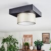 Falor lampa sufitowa LED czarny, 1-punktowy