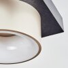 Falor lampa sufitowa LED czarny, 1-punktowy