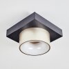 Falor lampa sufitowa LED czarny, 1-punktowy