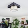 Falor lampa sufitowa LED czarny, 1-punktowy