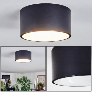 Falor Lampa sufitowa LED bialy matowy, 1-punktowy