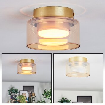 Folar Lampa sufitowa LED Złoty, 1-punktowy