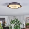 Lidor lampa sufitowa LED szary, czarny, 1-punktowy