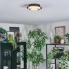 Lidor lampa sufitowa LED szary, czarny, 1-punktowy