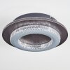 Lidor lampa sufitowa LED szary, czarny, 1-punktowy