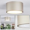 Falor lampa sufitowa LED w kolorze szampana, 1-punktowy