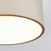 Falor lampa sufitowa LED w kolorze szampana, 1-punktowy
