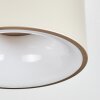 Falor lampa sufitowa LED w kolorze szampana, 1-punktowy
