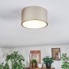 Falor lampa sufitowa LED w kolorze szampana, 1-punktowy