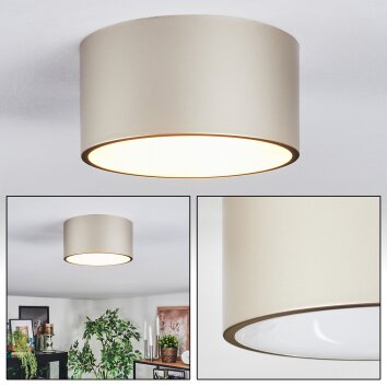 Falor Lampa sufitowa LED W kolorze szampana, 1-punktowy