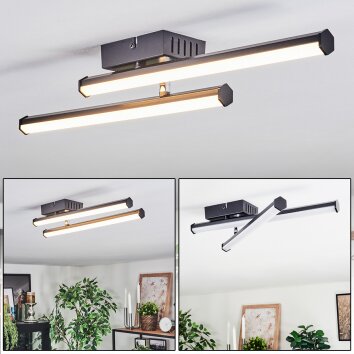 Fenol Lampa sufitowa LED Czarny, 1-punktowy