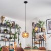 Koyoto lampa wisząca, kula świetlna, lampa wisząca bursztynowy, 1-punktowy