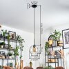 Koyoto lampa wisząca, kula świetlna, lampa wisząca przezroczysty, 1-punktowy