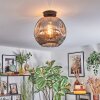 Ripoll lampa sufitowa, kula świetlna przydymiony, 1-punktowy