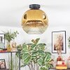 Ripoll lampa sufitowa, kula świetlna złoty, przezroczysty, 1-punktowy