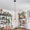 Koyoto lampa wisząca, kula świetlna, lampa wisząca 20 cm przezroczysty, 1-punktowy