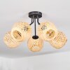 Basto lampa sufitowa, kula świetlna naturalny, 5-punktowe