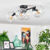 Koyoto lampa sufitowa, kula świetlna przezroczysty, 4-punktowe