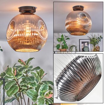 Ripoll lampa sufitowa, kula świetlna chrom, przydymiony, 1-punktowy