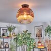 Ripoll lampa sufitowa, kula świetlna przezroczysty, miedziany, 1-punktowy