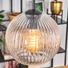 Koyoto lampa wisząca, kula świetlna, lampa wisząca 20 cm przezroczysty, 1-punktowy