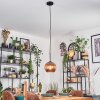 Koyoto lampa wisząca, kula świetlna, lampa wisząca miedziany, 1-punktowy