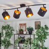 Alsen lampa sufitowa, spot sufitowy czarny, 4-punktowe