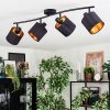 Alsen lampa sufitowa, spot sufitowy czarny, 4-punktowe