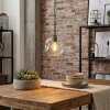 Ripoll lampa wisząca, kula świetlna, lampa wisząca przezroczysty, 1-punktowy