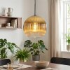 Koyoto lampa wisząca, kula świetlna, lampa wisząca złoty, przezroczysty, 1-punktowy