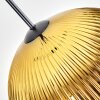 Koyoto lampa wisząca, kula świetlna, lampa wisząca złoty, przezroczysty, 1-punktowy