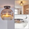 Ripoll lampa sufitowa, kula świetlna chrom, przezroczysty, przydymiony, 1-punktowy