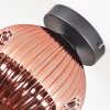 Ripoll lampa sufitowa, kula świetlna miedziany, 1-punktowy