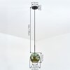Ripoll lampa wisząca, kula świetlna, lampa wisząca zielony, 1-punktowy