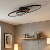 Garol lampa sufitowa LED kolory naturalne, czarny, 1-punktowy