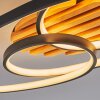 Garol lampa sufitowa LED kolory naturalne, czarny, 1-punktowy