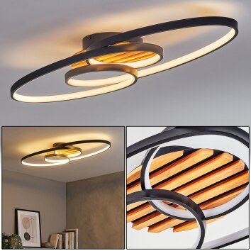 Garol lampa sufitowa LED kolory naturalne, czarny, 1-punktowy