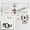 Stelo lampa sufitowa, wentylator sufitowy z oświetleniem kolory naturalne, nikiel matowy, srebrny, 3-punktowe