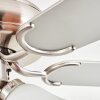 Stelo lampa sufitowa, wentylator sufitowy z oświetleniem kolory naturalne, nikiel matowy, srebrny, 3-punktowe