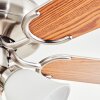 Stelo Lampa sufitowa, lampa z wentylatorem Ecru, Nikiel matowy, Srebrny, 3-punktowe